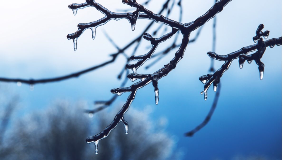 ice storm damage to home rooffeatured image