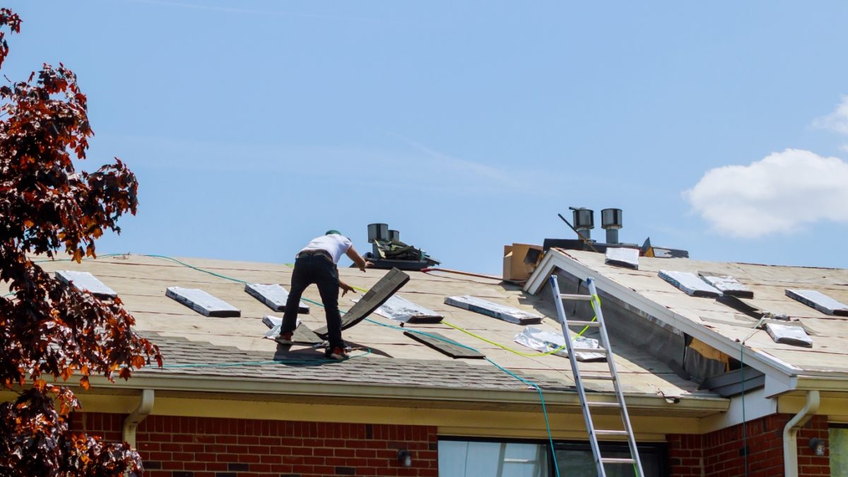 laminated composition shingles